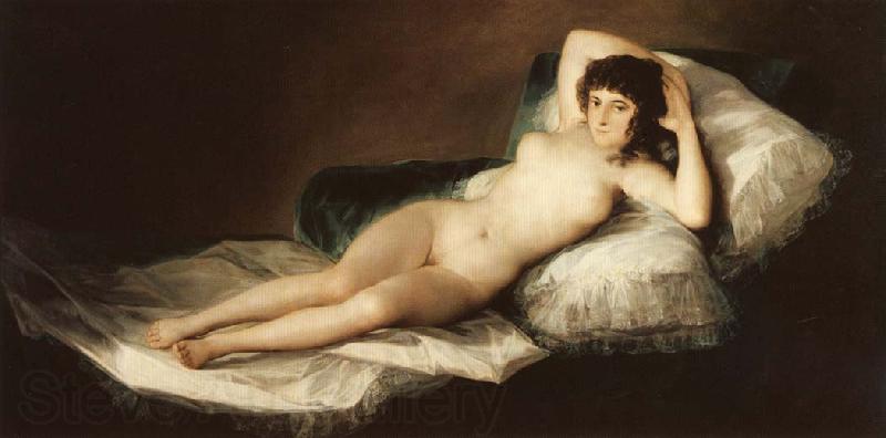 Francisco Goya The Naked Maja France oil painting art